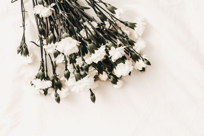Bunch of white carnations