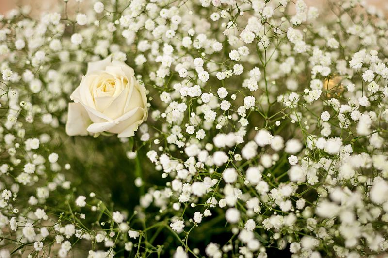 White flower arrangement