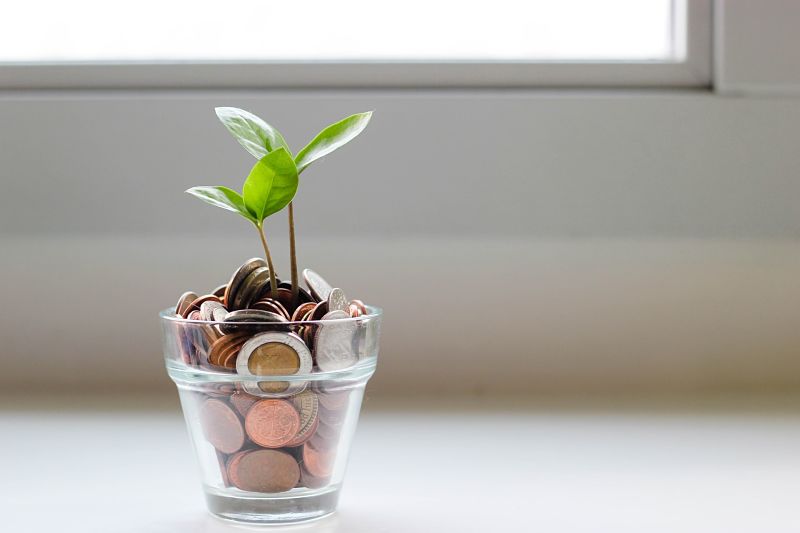 Coins growing in a pot to represent budget