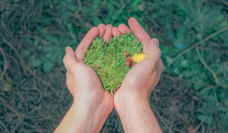 A handful of grains shaped like a heart.