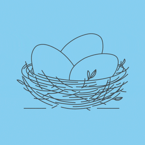 three eggs in a nest highlighting young saver plan