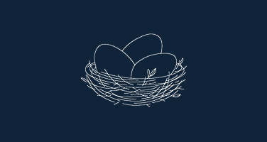 Nest containing Eggs Icon